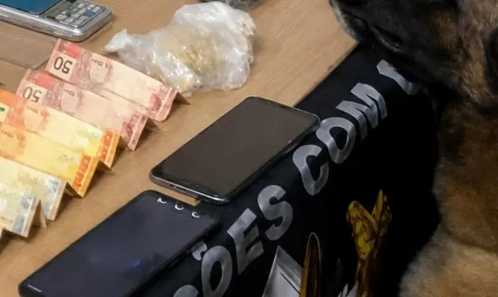 FORÇA TÁTICA E CANIL DA PMRO DESMANTELA PONTO DE VENDA DE DROGAS EM COLORADO DO OESTE