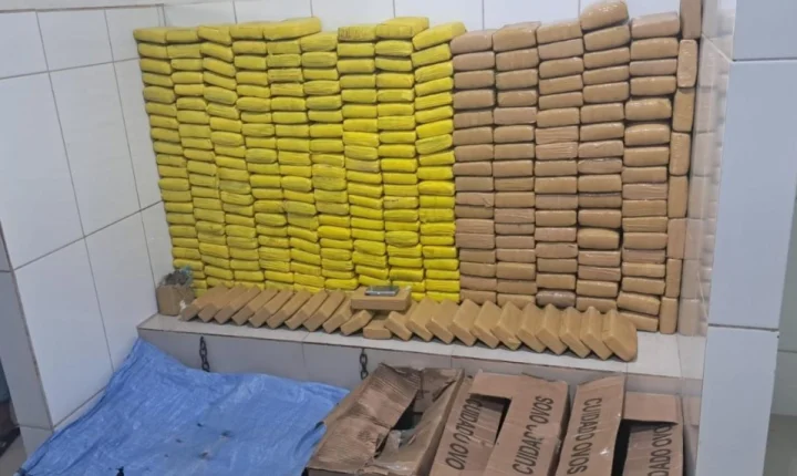 Operação apreende mais de 328 quilos de drogas e prende casal em Cacoal